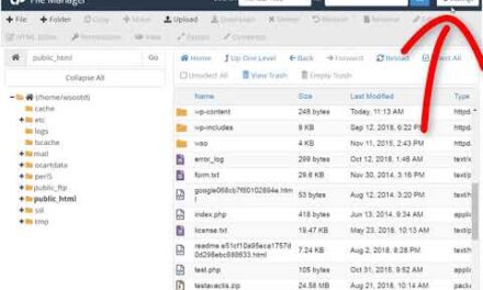 How to Edit .HTACCESS and View Hidden Files in CPanel File Manager