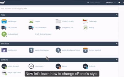 cPanel – Changing the main theme