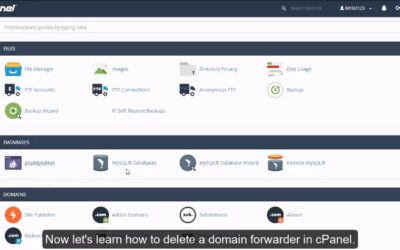 cPanel Email – How to Delete a Domain Forwarder